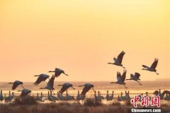 中国湿地面积居亚洲第一、全球第四