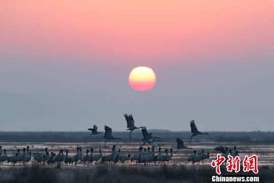 图为贵州威宁草海,是典型的高原湿地生态系统。 贺俊怡 摄 图为贵州威宁草海,是典型的高原湿地生态系统。 贺俊怡 摄